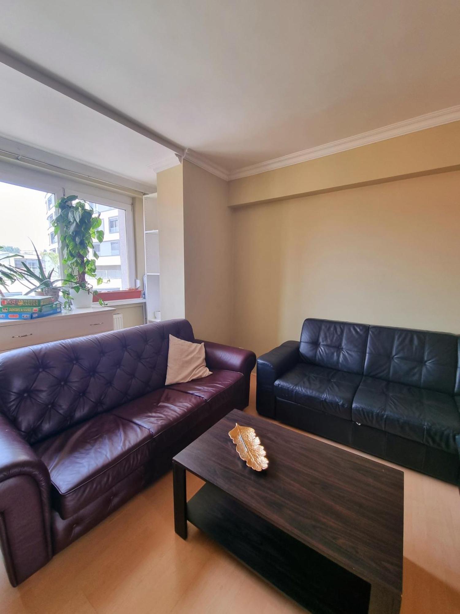 Big 4 Room Huge Apartment Bratislava Exterior foto